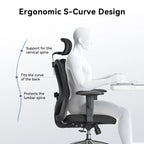 Sedia da ufficio ergonomica con supporto lombare regolabile