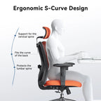 Sedia da ufficio ergonomica con supporto lombare regolabile