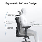 Sedia da ufficio ergonomica con supporto lombare regolabile