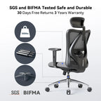 Sedia da ufficio ergonomica con supporto lombare regolabile